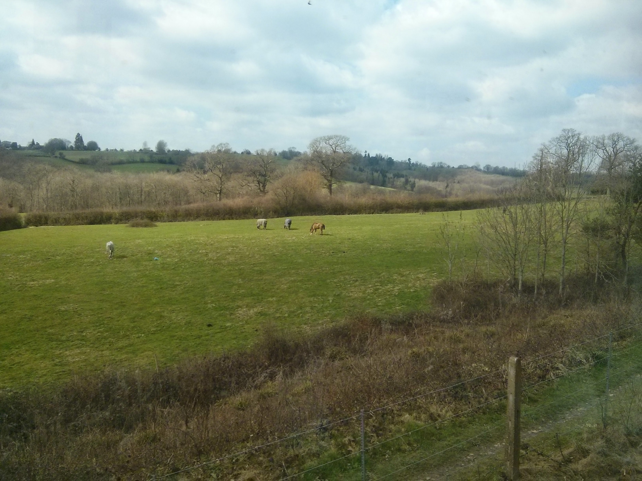 Bluebell Railway