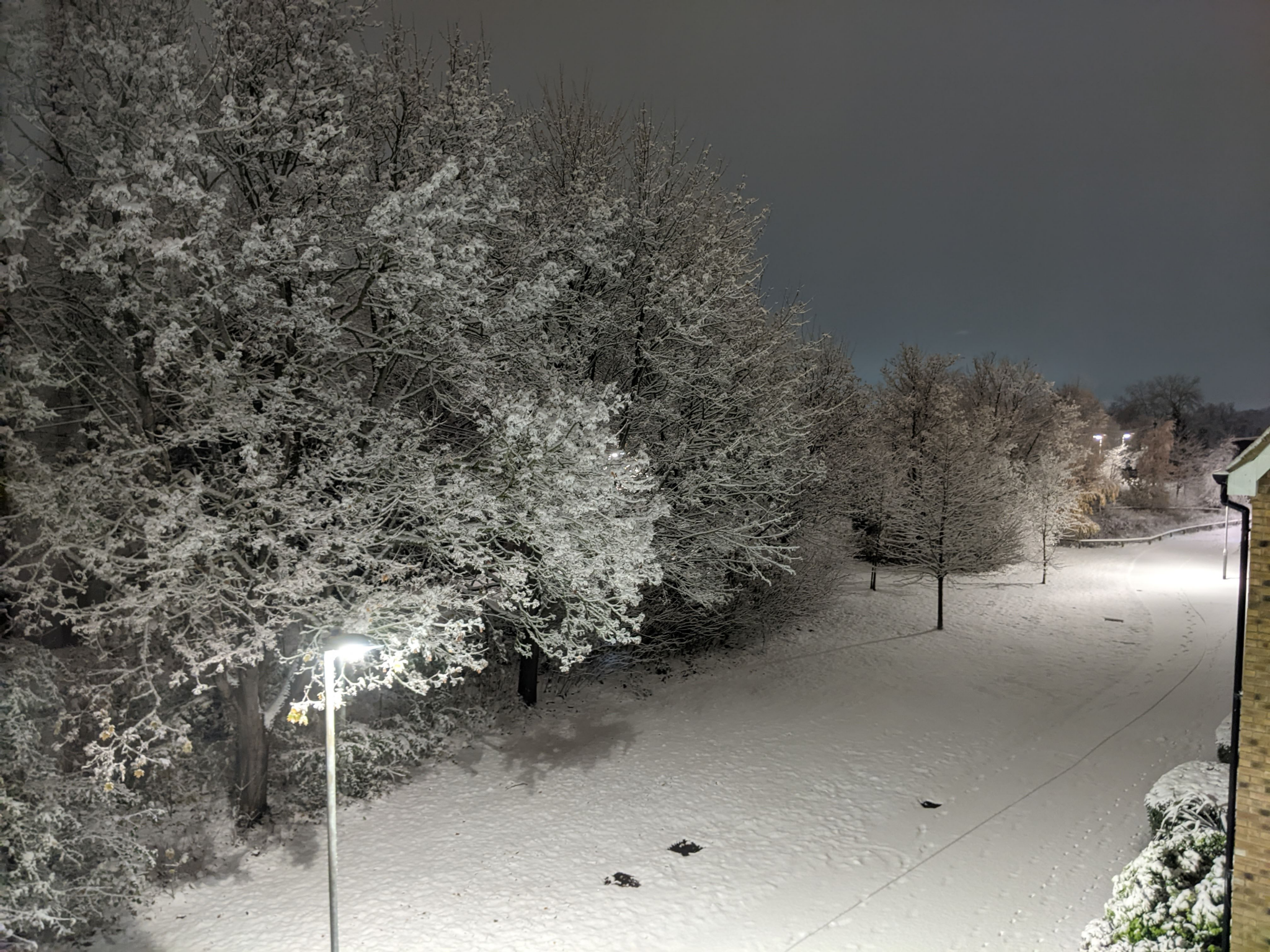 Snow