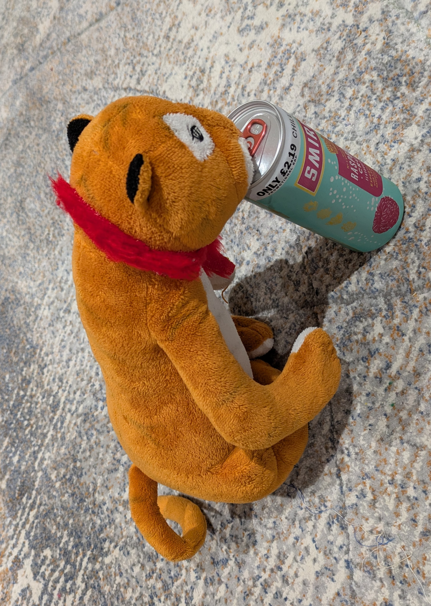 Bears, Tiger