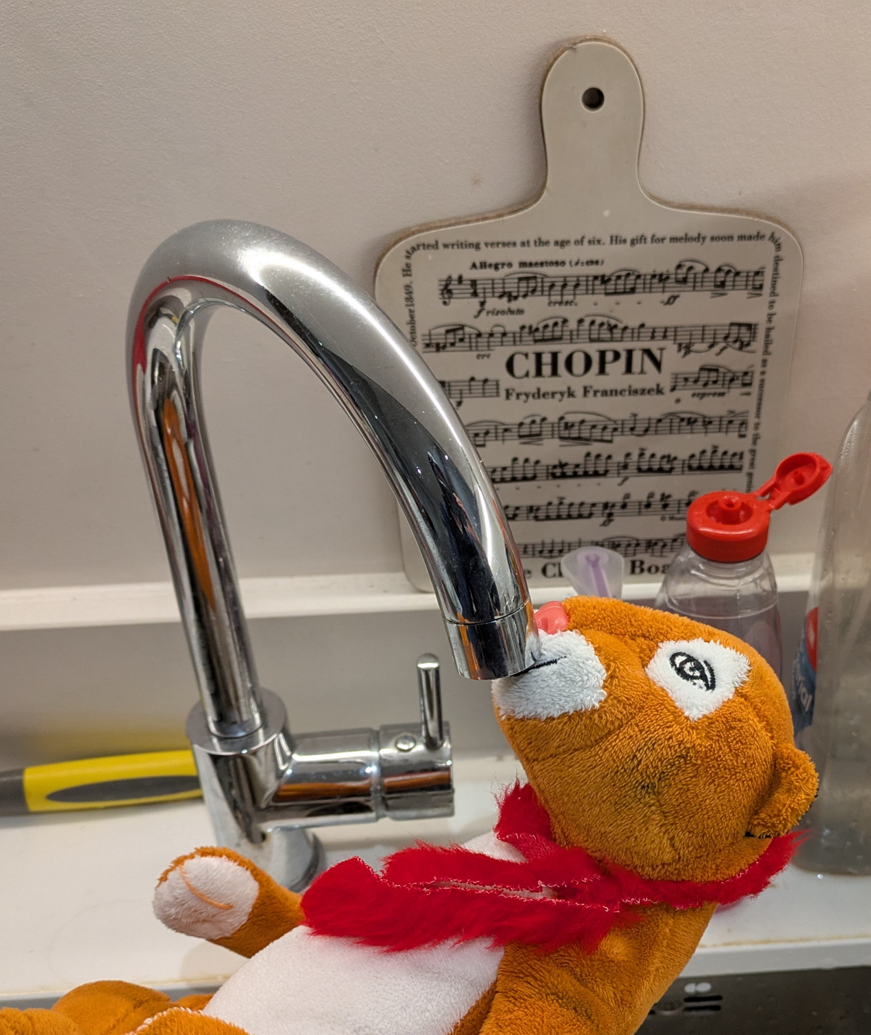 Bears, Tiger