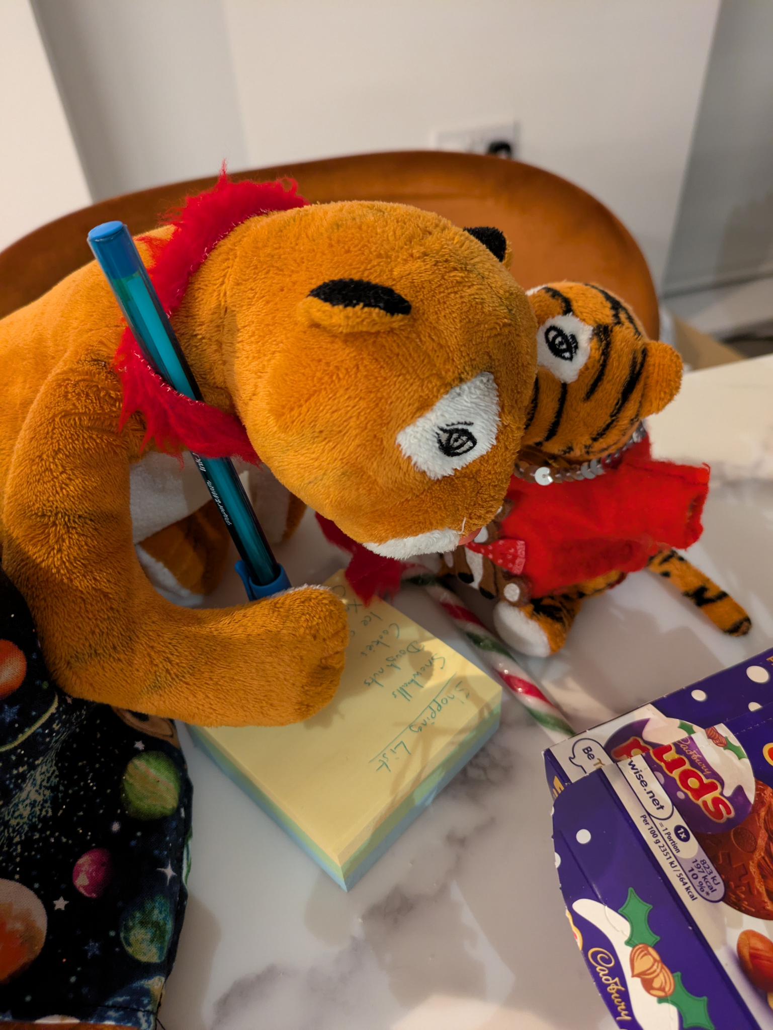 Bears, Tiger