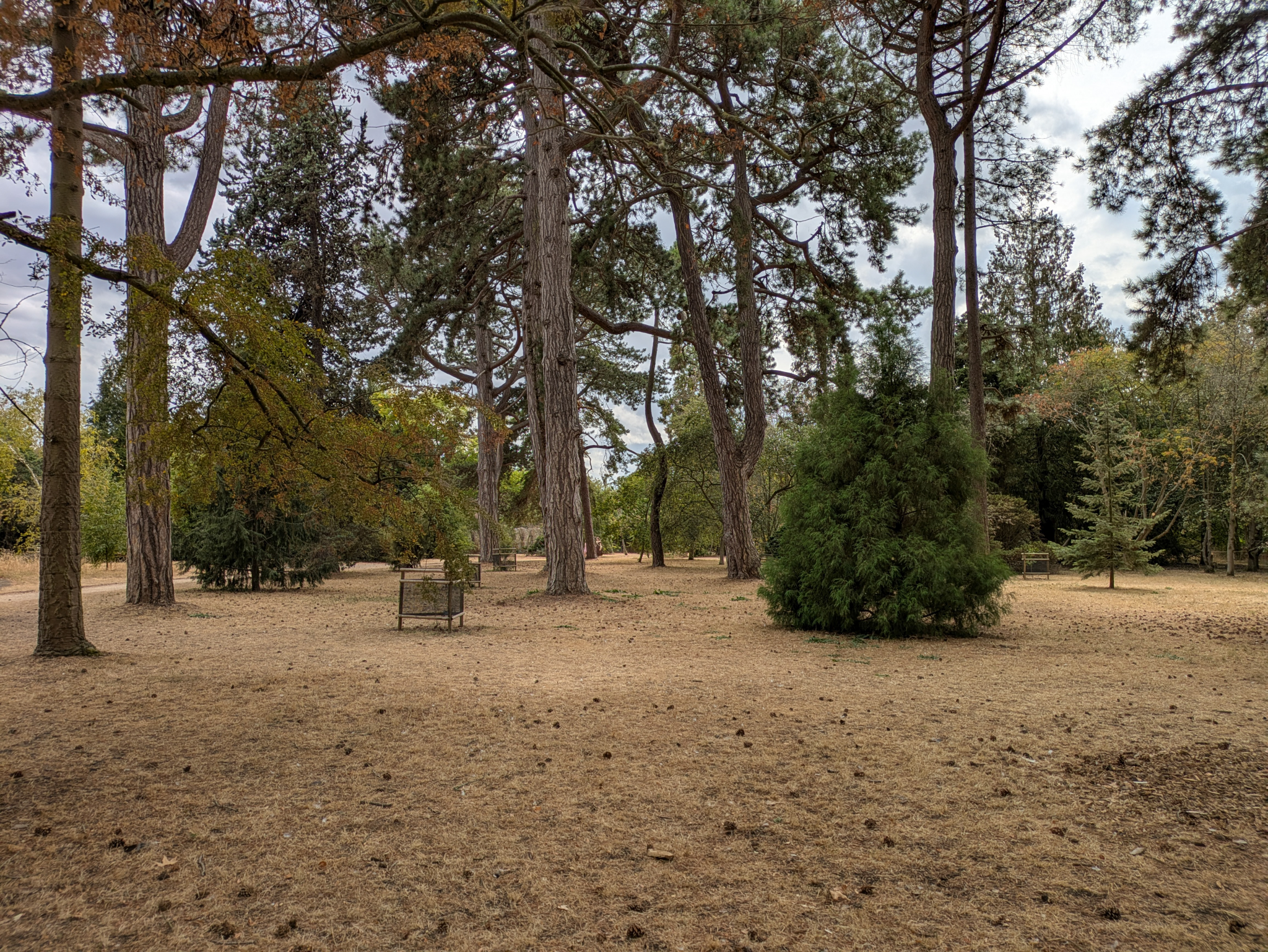 Botanic Garden